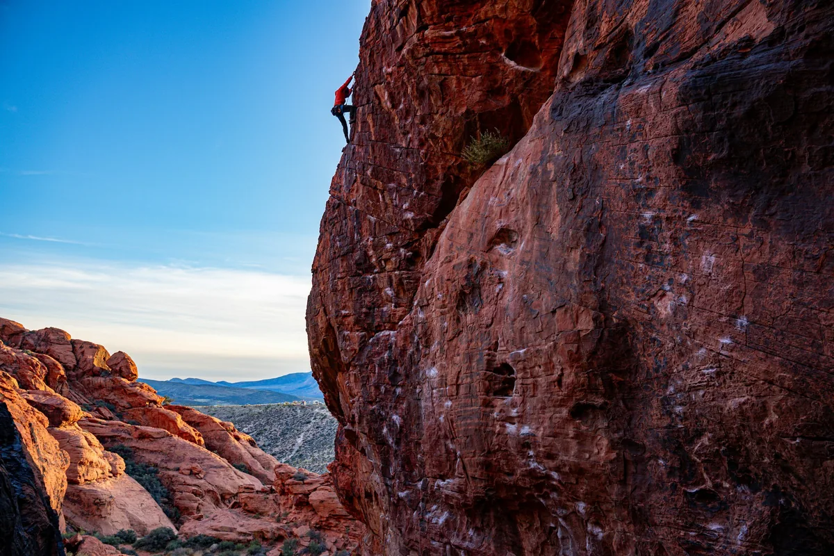 Building Resilience in the Face of Adversity
